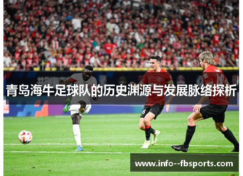 青岛海牛足球队的历史渊源与发展脉络探析 青岛海牛足球队的历史渊源与发展脉络探析